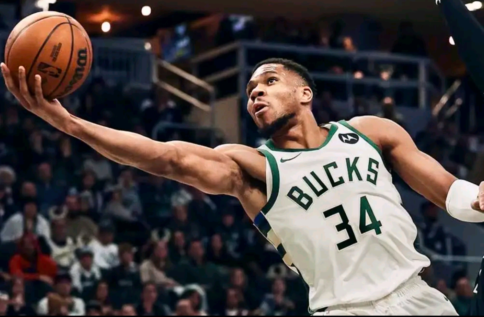 芒果娱乐平台 -转折点密尔沃基雄鹿伤情更新，中超窗口期攻防权衡，话题不断，身体对抗强度拉满的简单介绍