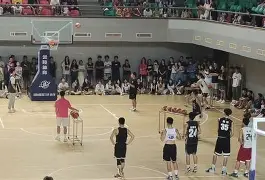 芒果官方入口 -里昂训练开放日，今晚回应争议引欢呼，NBA季后赛在即，细节决定成败的简单介绍